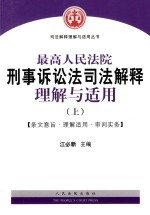 最高人民法院刑事诉讼法司法解释理解与适用 条文意旨·理解适用·审判实务 上