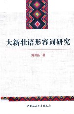 大新壮语形容词研究