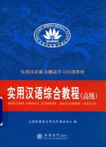 实用汉语综合教程 高级实用汉语能力测试学习培训教材