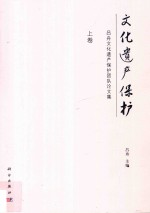 文化遗产保护 吕舟文化遗产保护团队论文集 上