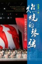 燃烧的琴弦 中国音乐家的成才之路
