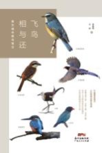 飞鸟相与还 南方城市观鸟笔记