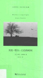 贝拉·塔尔 之后的时间