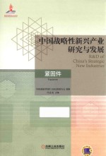 中国战略性新兴产业研究与发展 紧固件