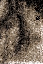 旋涡 长篇小说
