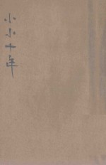小小十年 长篇小说 上