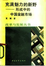 充满魅力的新野 形成中的中国金融市场