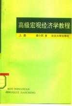高级宏观经济学教程 上