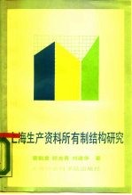 上海生产资料所有制结构研究
