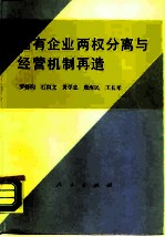 国有企业两权分离与经营机制再造