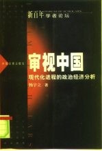 审视中国 现代化进程的政治经济分析