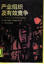 产业组织及有效竞争 中国产业组织的初步研究