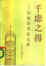 千虑之得 佐牧经济论文集