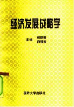 经济发展战略学
