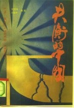 失衡的中国 城市化的过去、现在与未来 第1部