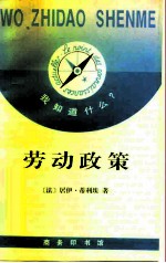 劳动政策