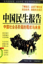 中国民生报告 中国社会各阶层的现状与未来