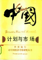 中国 计划与市场