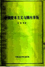 中国资本主义与国内市场