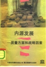 内源发展 质量方面和战略因素
