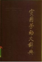 实用劳动大辞典