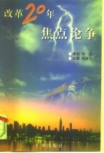 改革20年焦点论争 1978-1998 漩涡激荡·心灵角斗