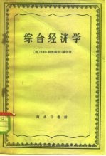 综合经济学