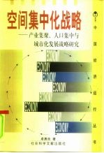 空间集中化战略 产业集聚、人口集中与城市化发展战略研究