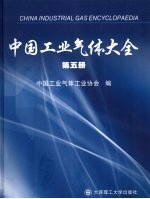 中国工业气体大全 第5册