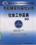 社会工作实务 初级