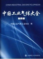 中国工业气体大全 第4册