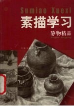 素描学习 静物精品