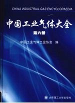 中国工业气体大全 第6册