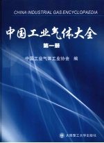 中国工业气体大全 第1册