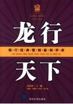 龙行天下 银行经典营销案例评析
