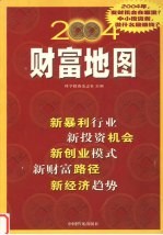 2004财富地图