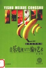 音乐电视MTV编导艺术