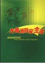 齐鲁消防安全录