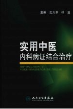 实用中医内科病证结合治疗