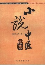 小说中医续集 一部表述中医药文化的小说
