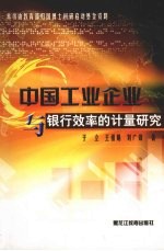 中国工业企业与银行效率的计量研究