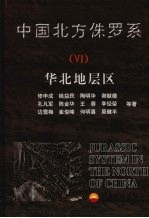 中国北方侏罗系 6 华北地层区