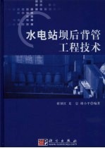 水电站坝后背管工程技术