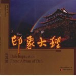 印象大理