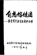 自热熔炼法:在重有色金属生产中运用