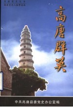 高唐群英 高唐党史人物事迹选 第1辑