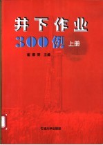 井下作业300例 上