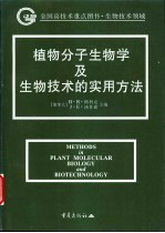植物分子生物学及生物技术的实用方法