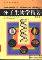 分子生物学精要 英文版