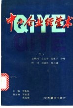中小企业经营术 下